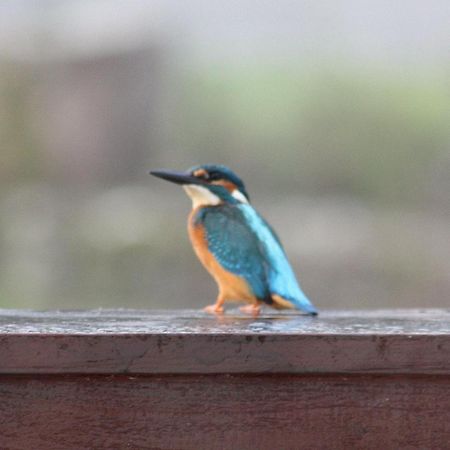 River Cottage Balledent 外观 照片