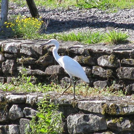 River Cottage Balledent 外观 照片